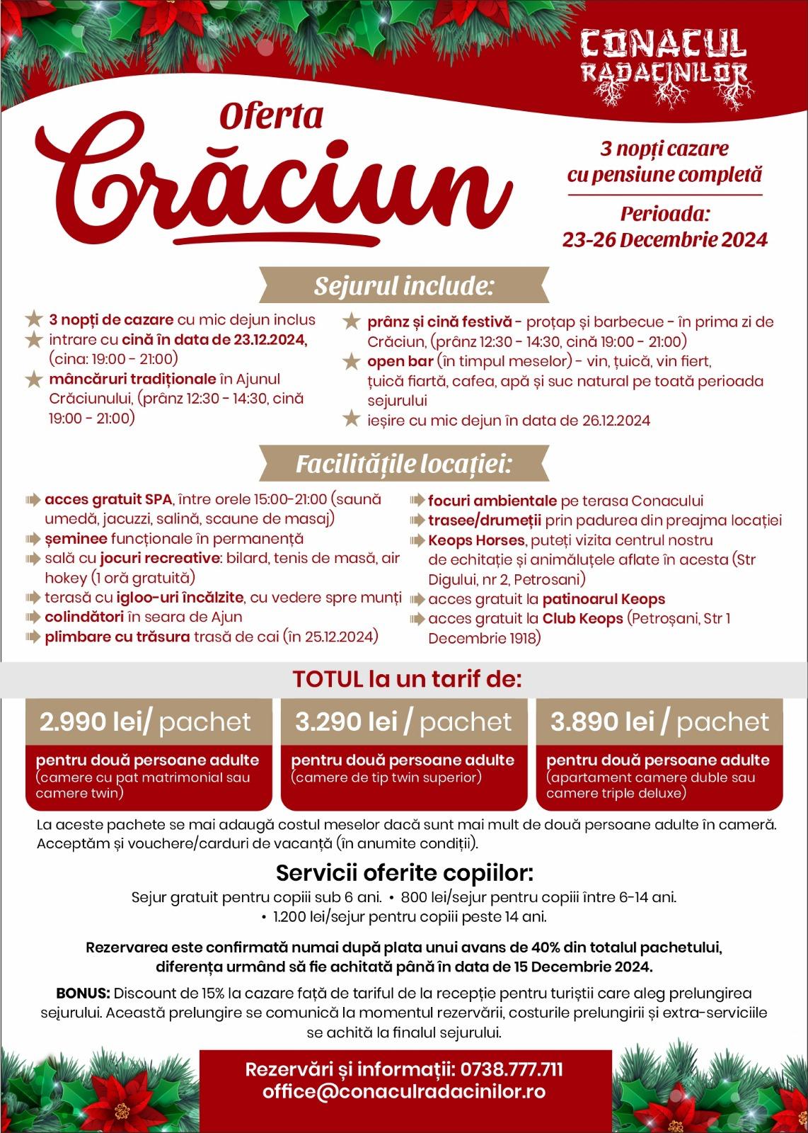oferta craciun 2024 conacul radacinilor in petrosani